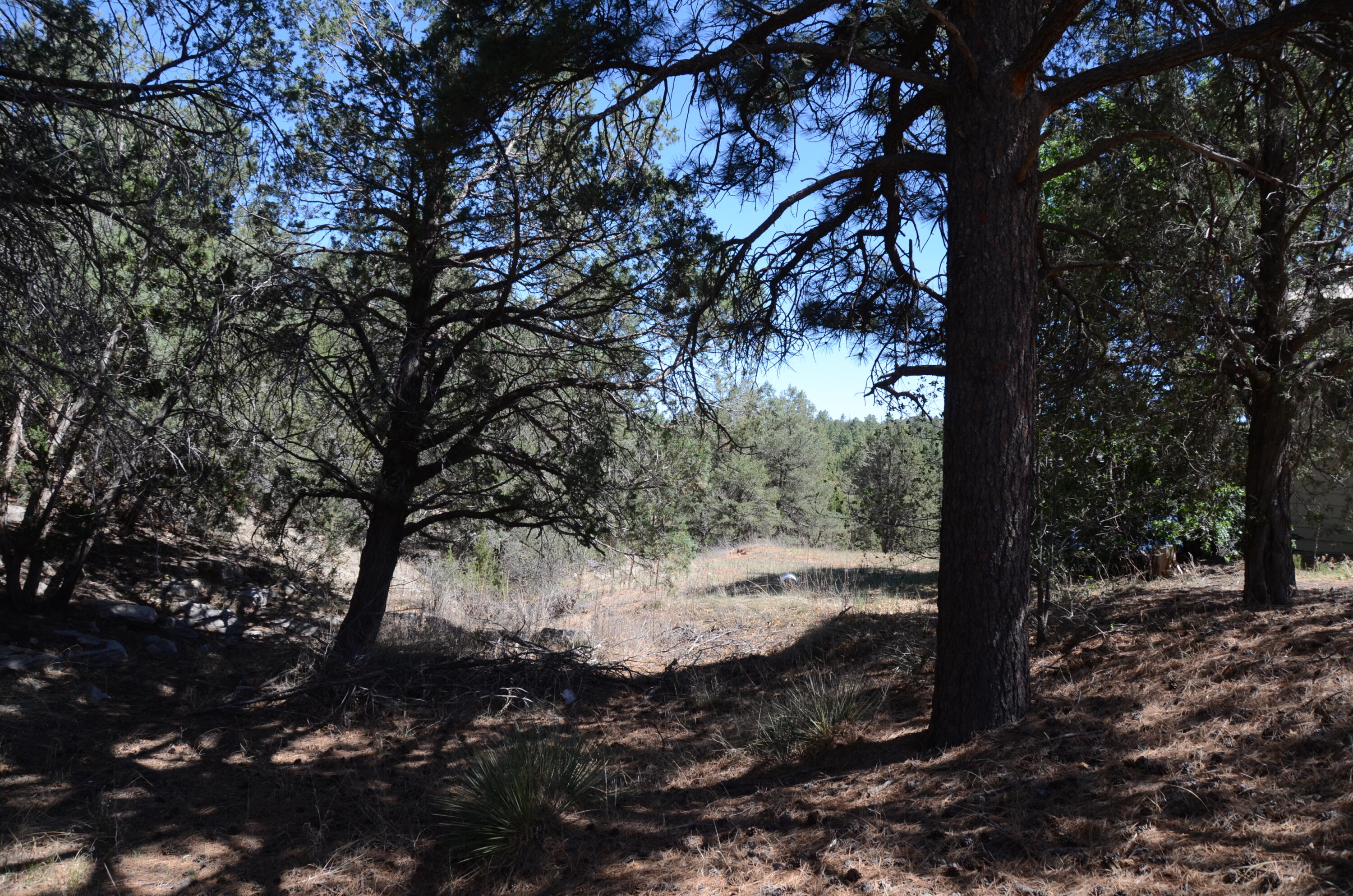 Homes for sale in Edgewood, NM | 12 Ballenger Ranch Rd, Edgewood, NM 87015 | MLS# 1098242