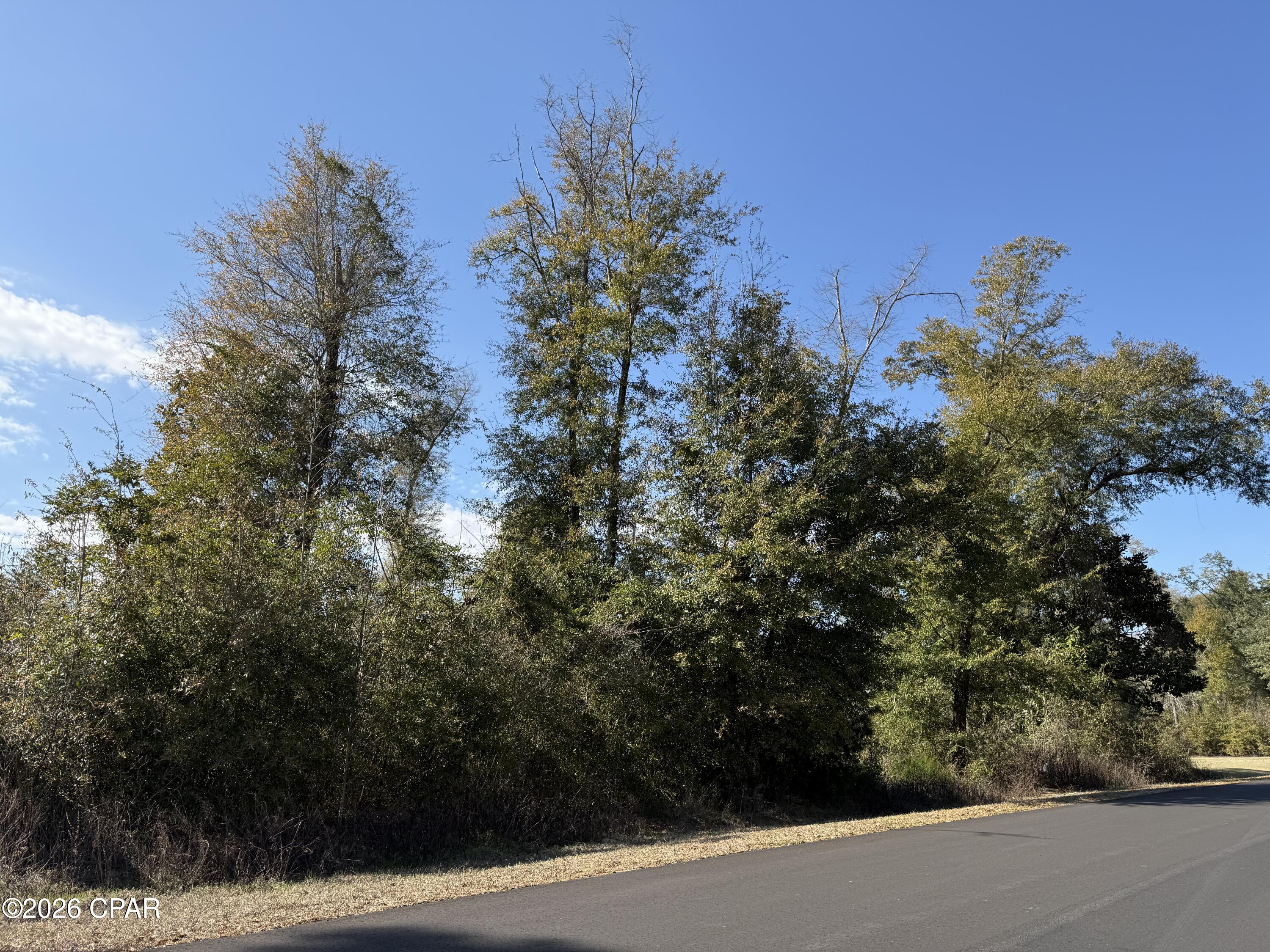 Image 4 For 0003 Appalachee Trail