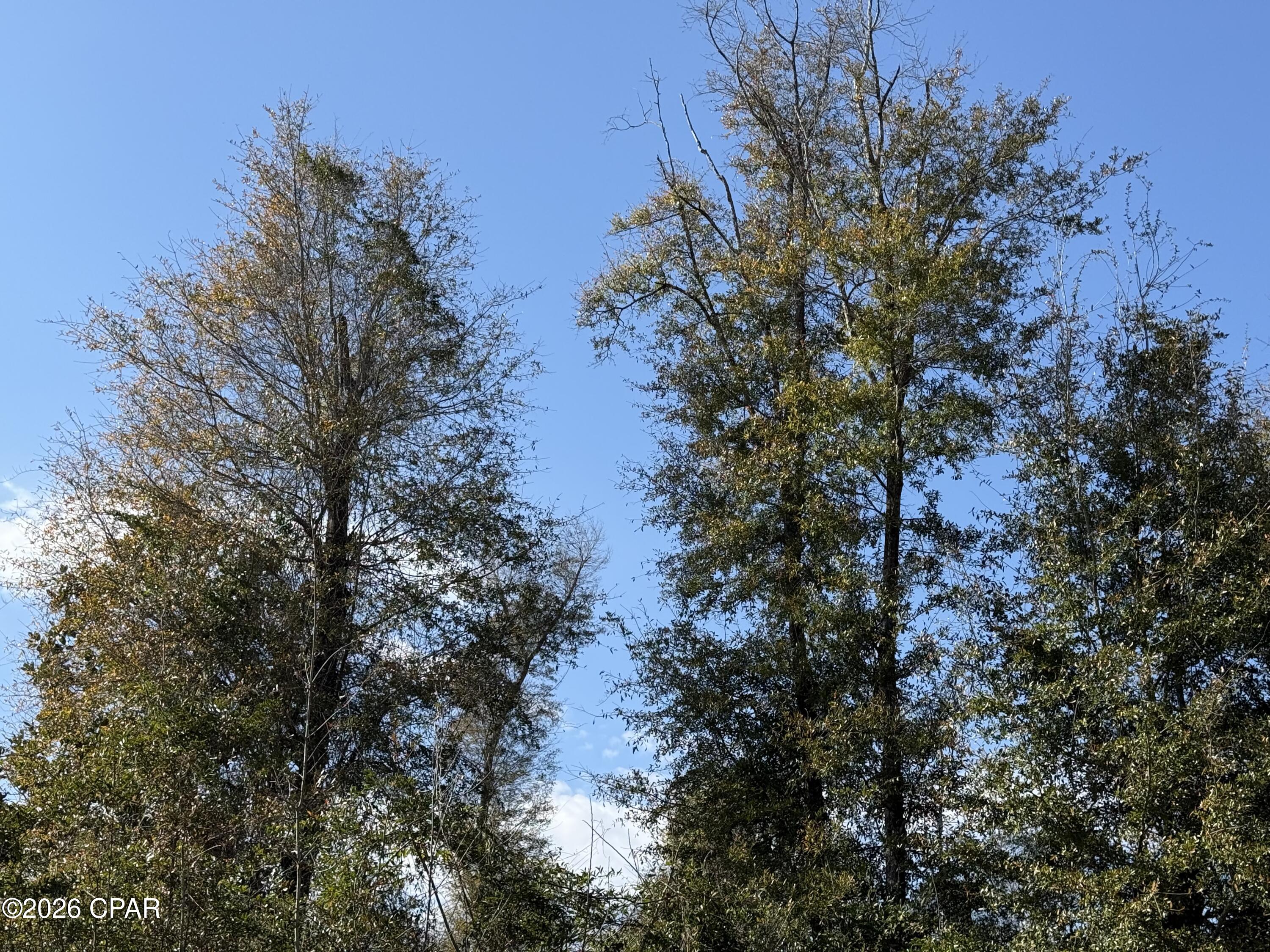 Image 6 For 0003 Appalachee Trail