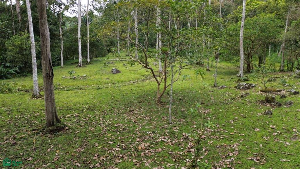 0 bed Land For Sale in Turrialba, Cartago - 1
