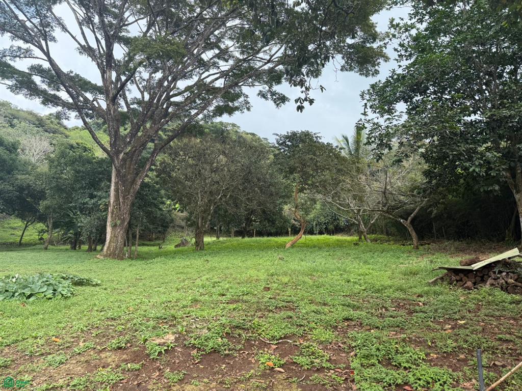  bed Land For Sale in Atenas, Alajuela - 1