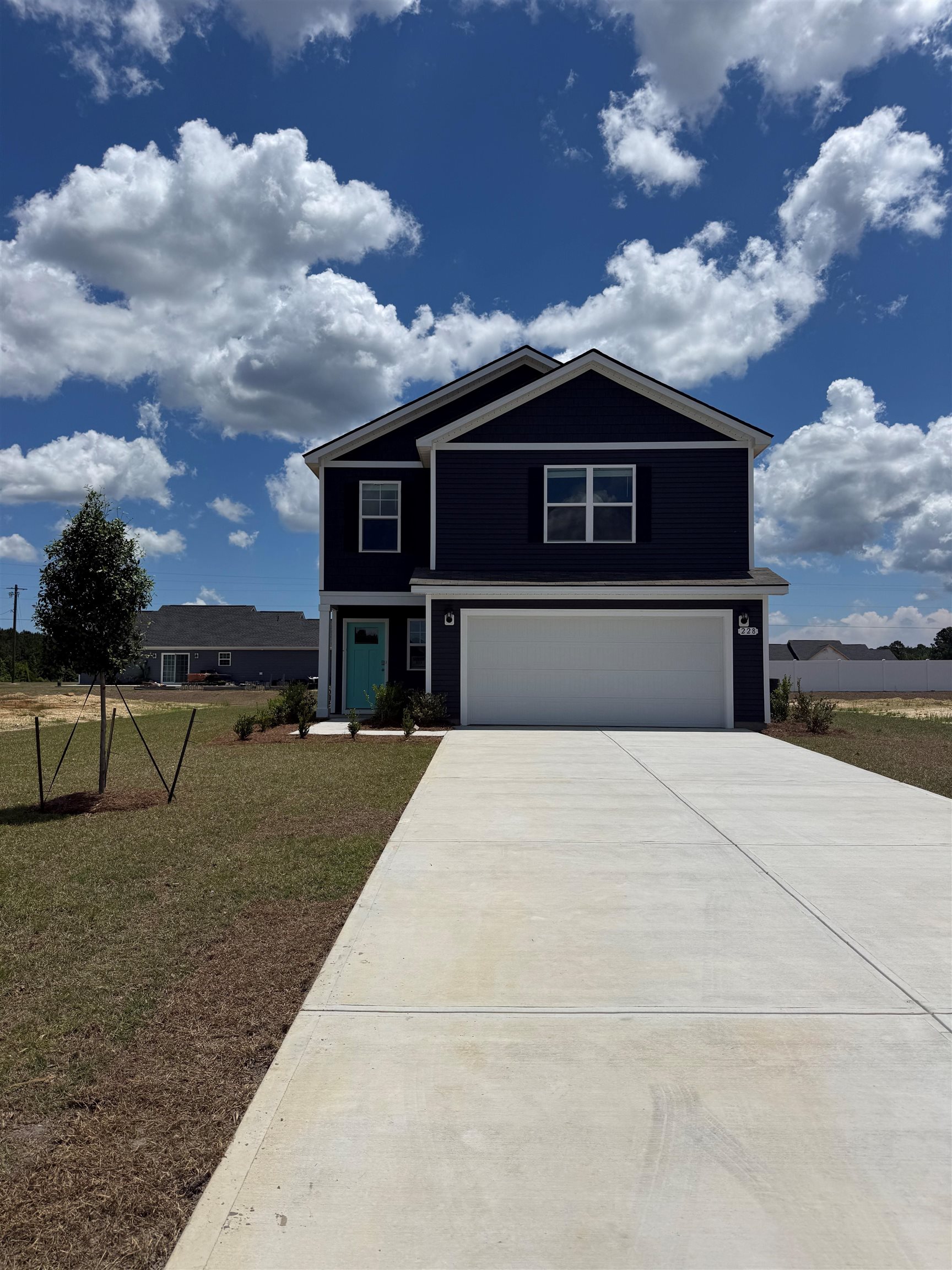 228 Red Buckeye Dr. Conway, SC 29527