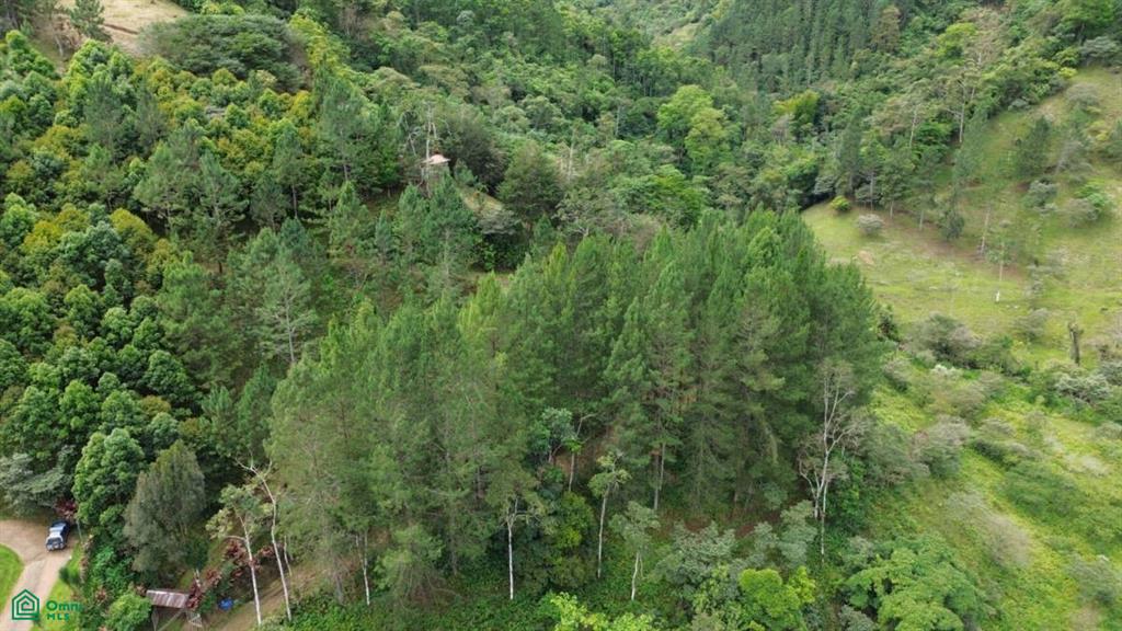 3 bed Land For Sale in Turrialba, Cartago - 1