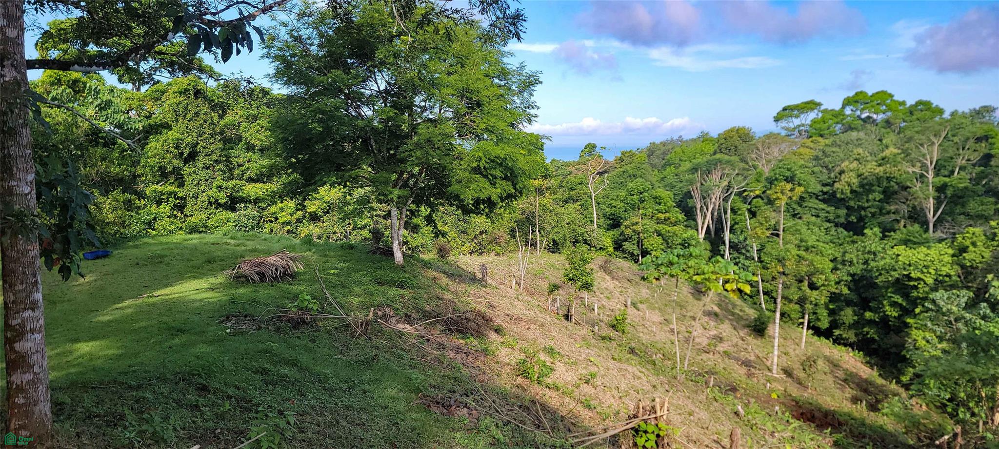 Finca Estrella