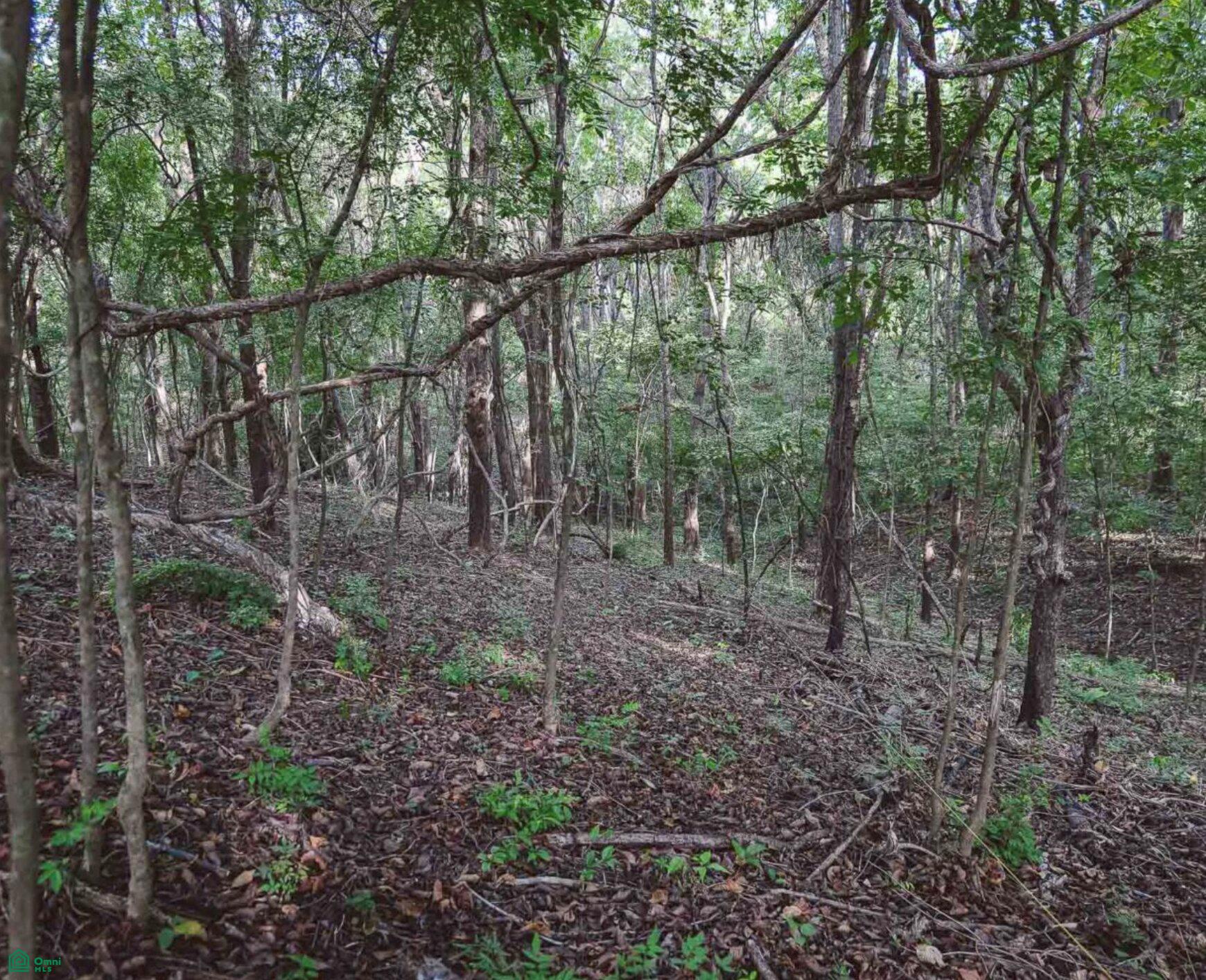  bed Land For Sale in Carrillo, Guanacaste - 1