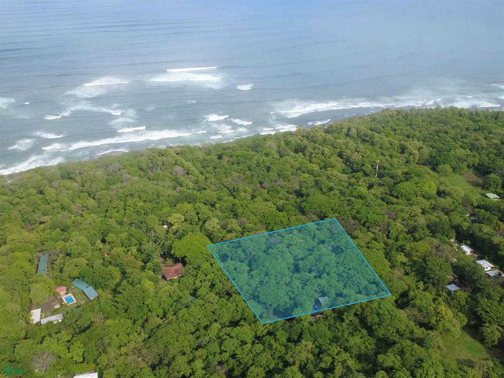  bed Land For Sale in Tamarindo, Guanacaste - 1