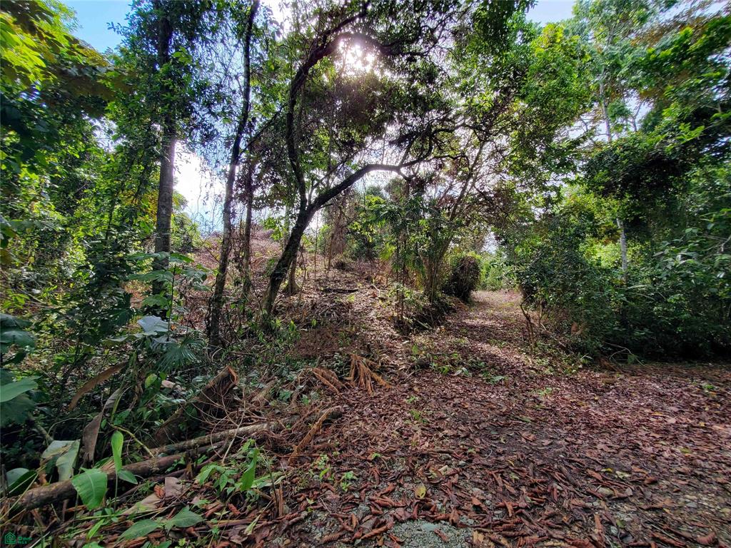  bed Land For Sale in Golfito, Puntarenas - 1