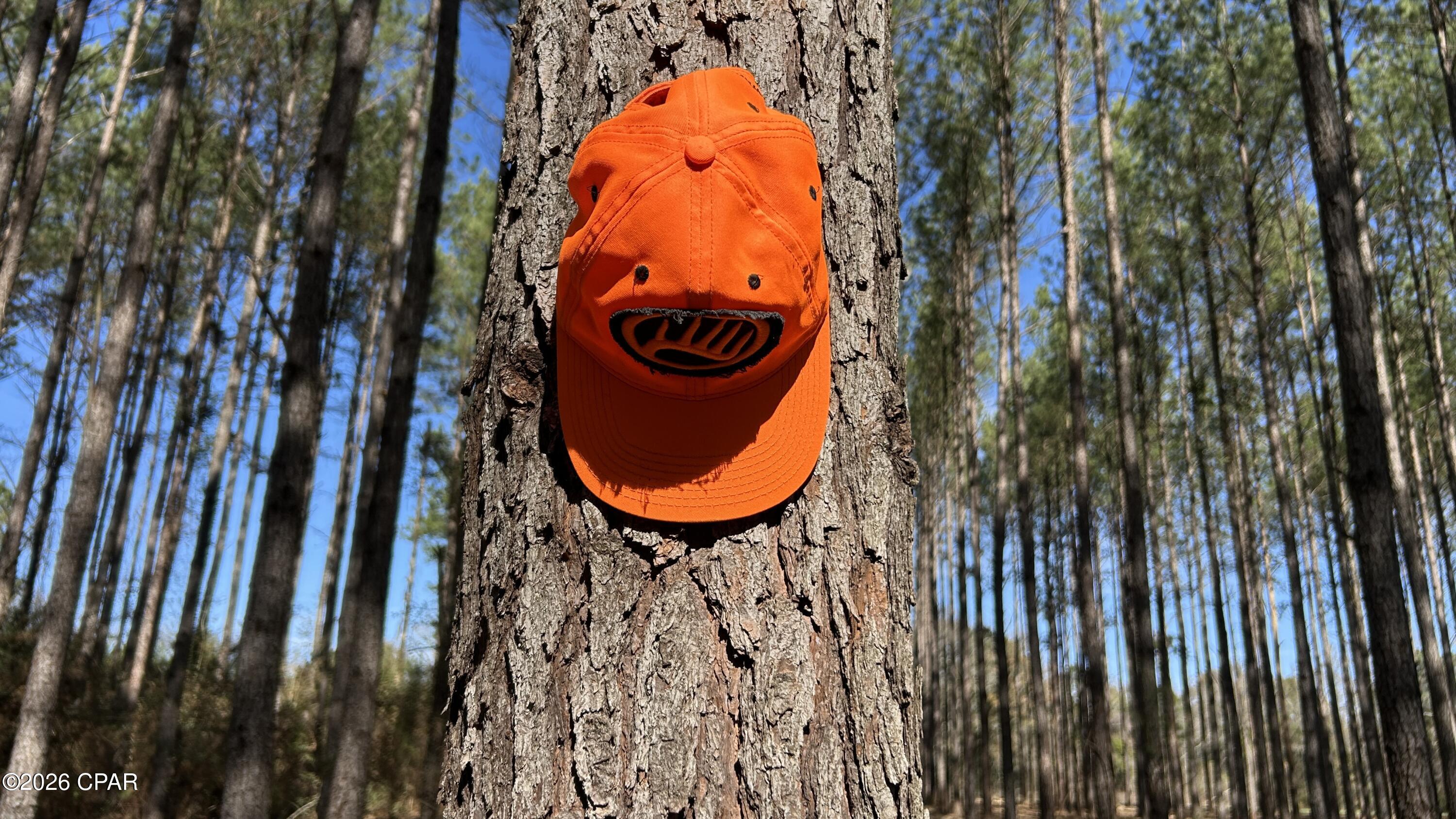 Image 10 For 0 0 Grimes Road Lot #1