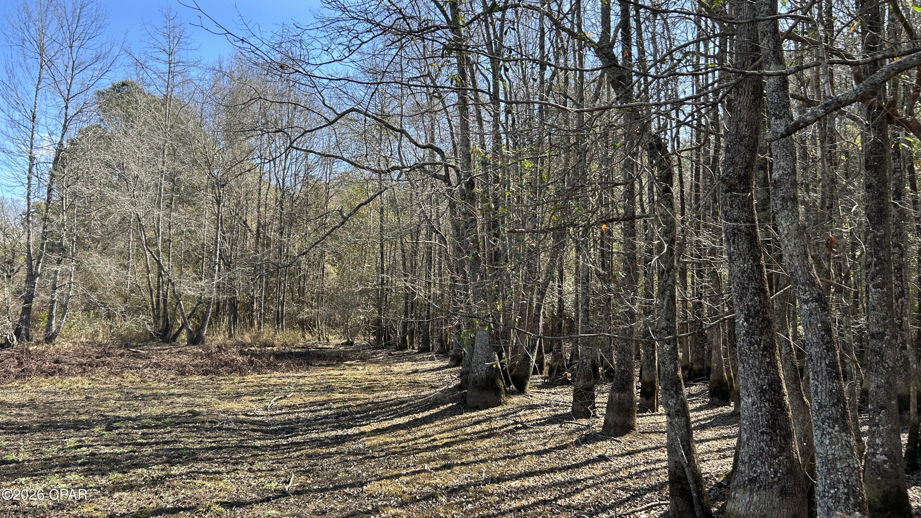 Image 23 For 0 0 Grimes Road Lot #1