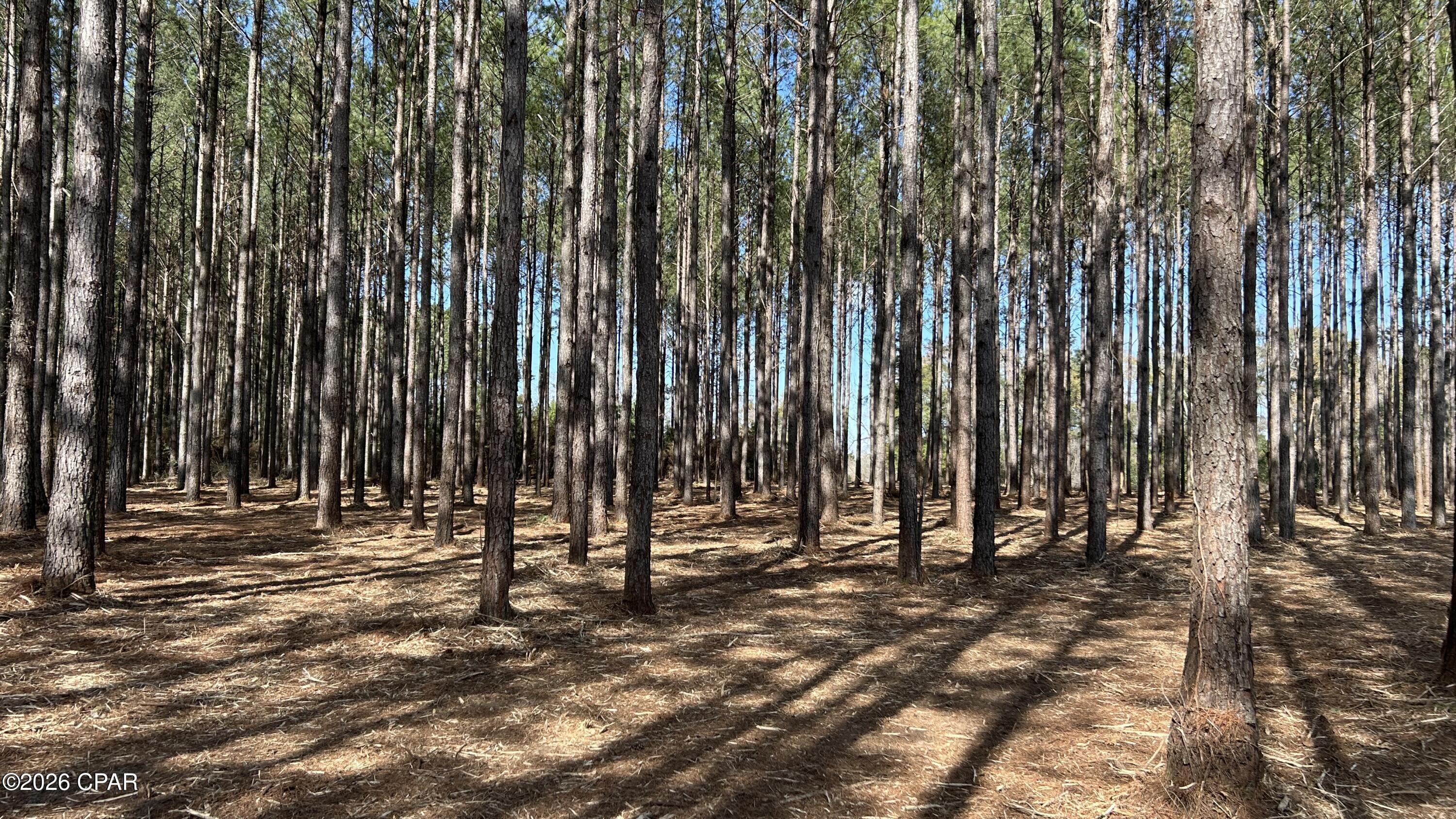 Image 9 For 0 0 Grimes Road Lot #1