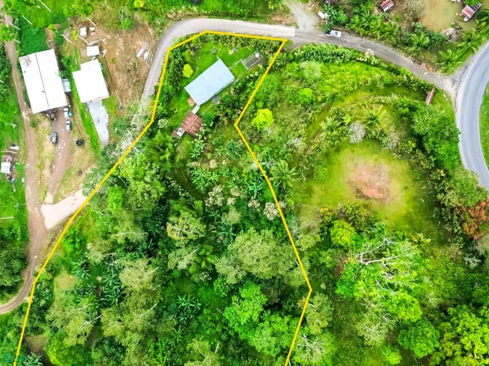  bed Land For Sale in Turrialba, Cartago - 1