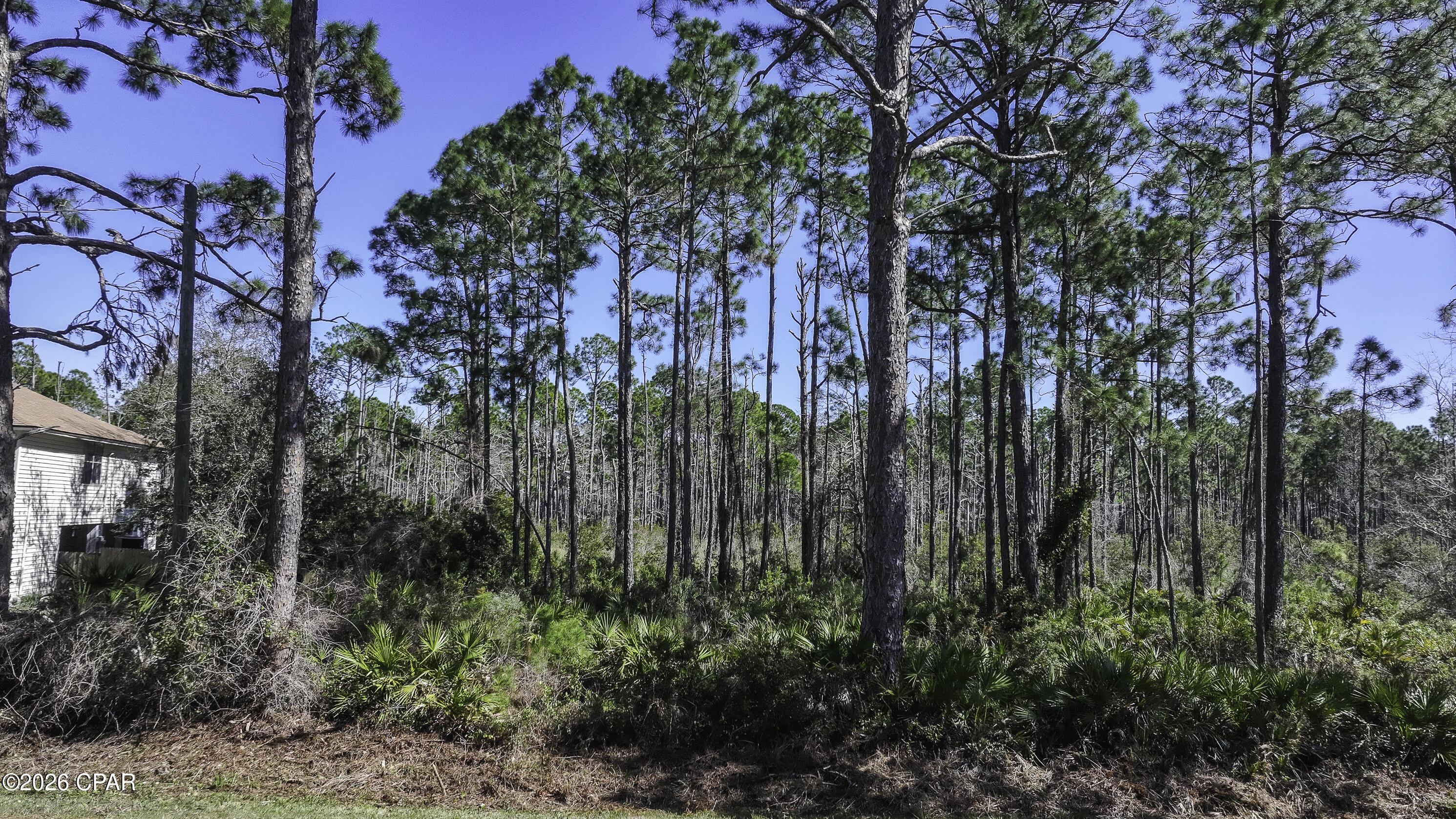 Photo 4 of Land for sale at Lot 5 Sr 30 A, Port St Joe, FL 32456 | MLS# 785749 | Listing updated on 2026-09-16