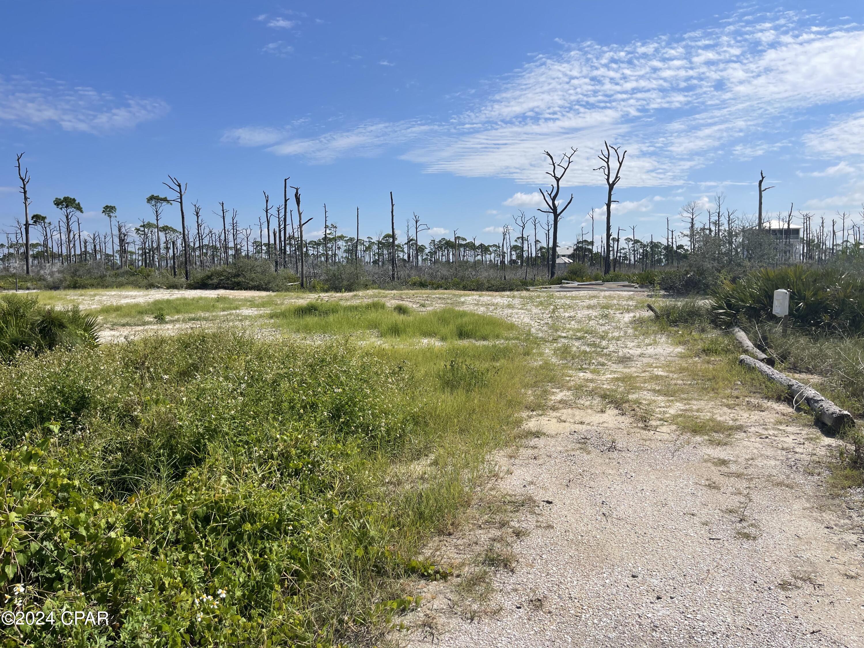 3rd image of 206 Bent Tree Rd, Port Saint Joe, FL 32456 | MLS# 785813