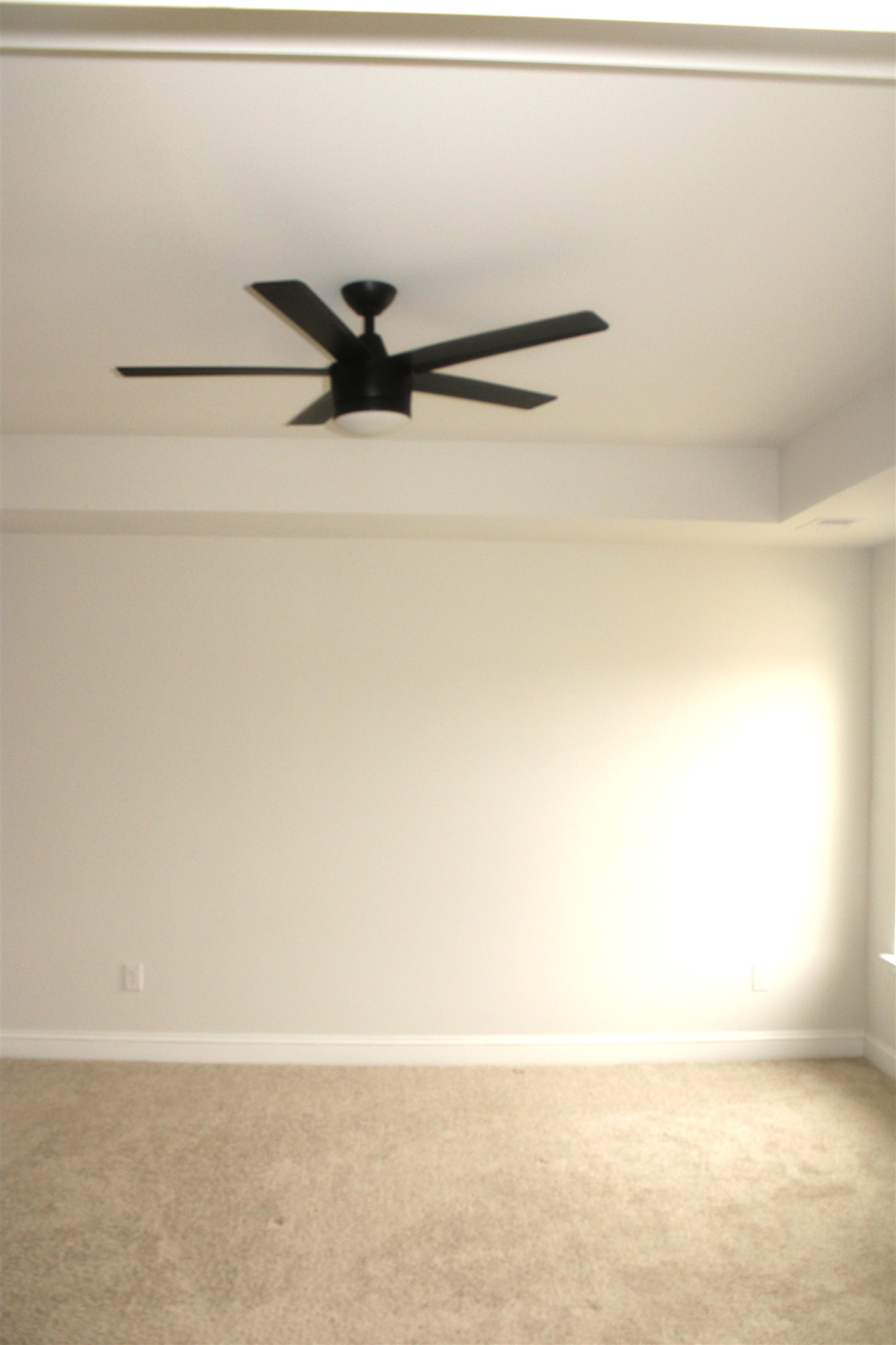 2604961 | Photo 22