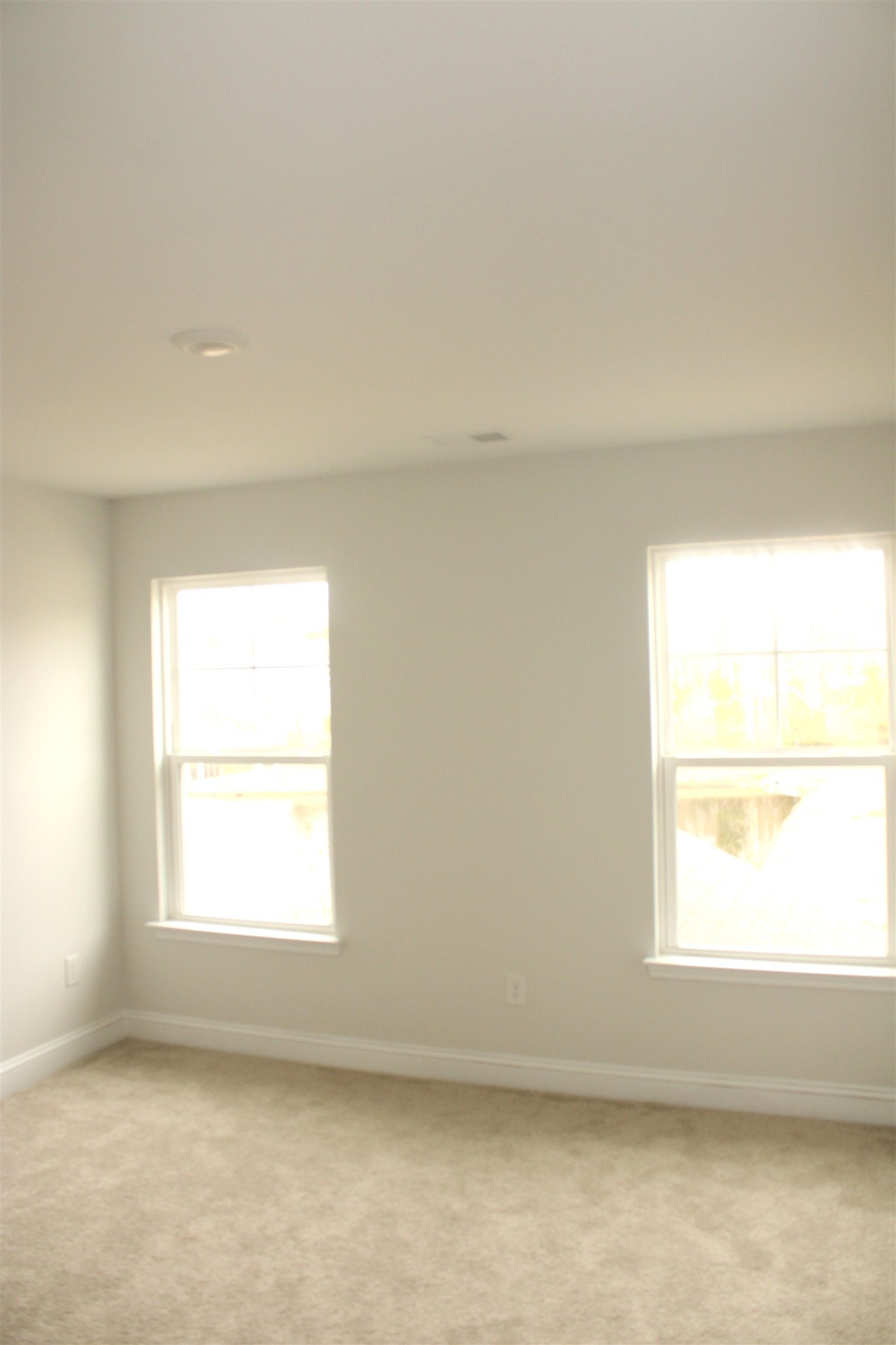 2604961 | Photo 25