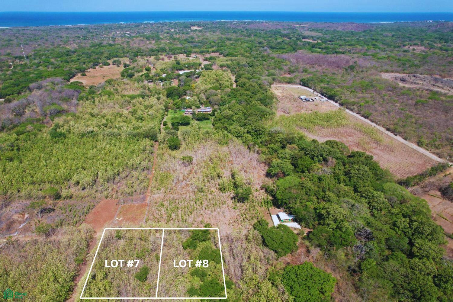 Two outlined vacant lots amid tropical vegetation, with the ocean on the horizon.