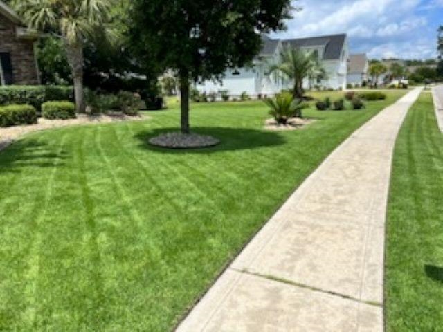 2605072 | Photo 52