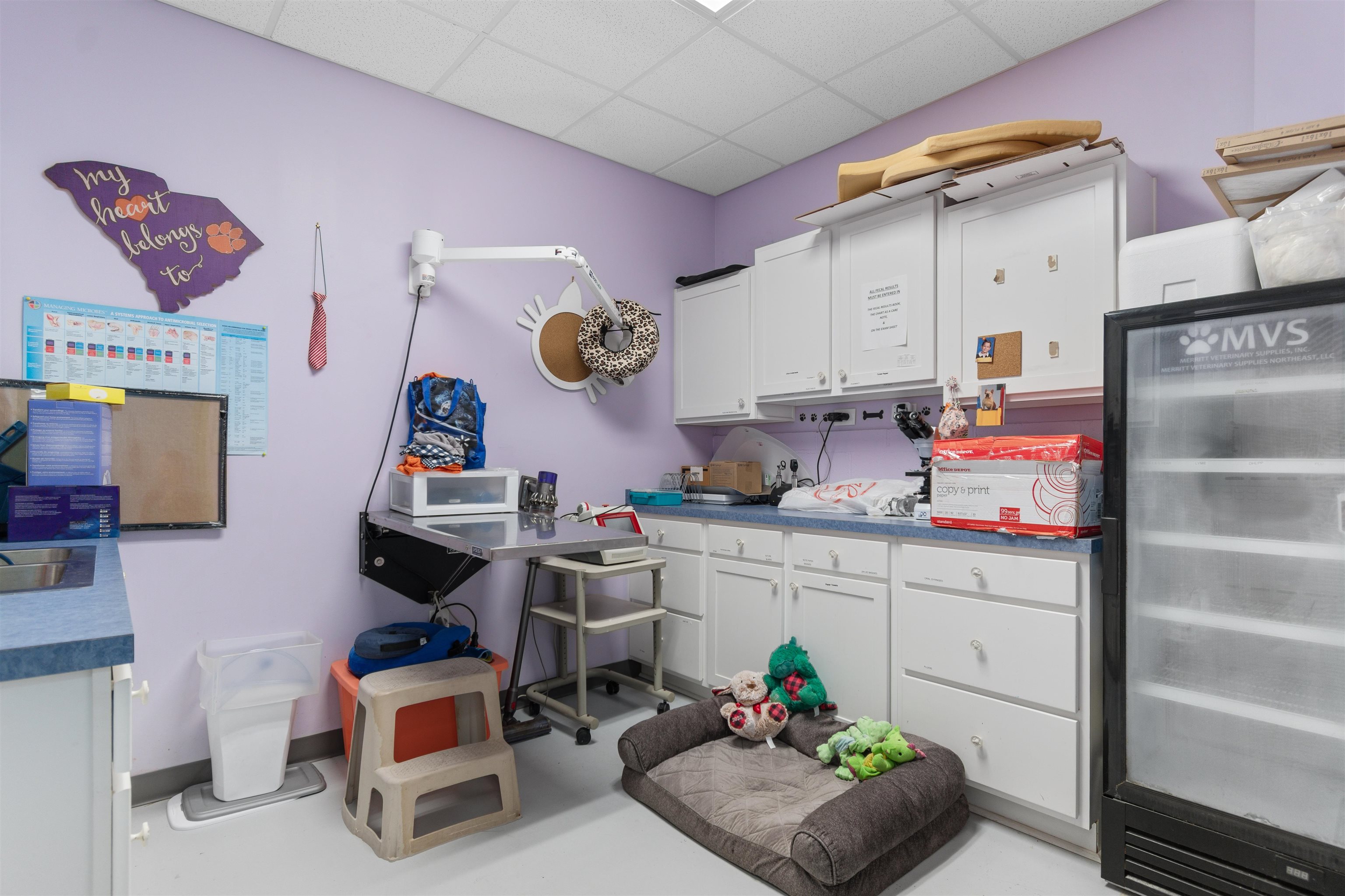 2605244 | Photo 15