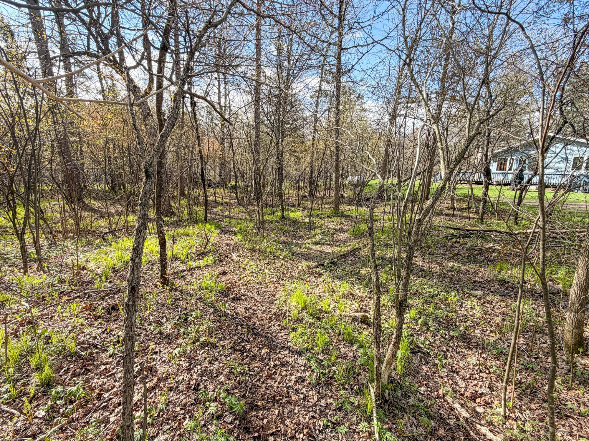 River Property Property N9076 Old Bridge Rd Photo 11