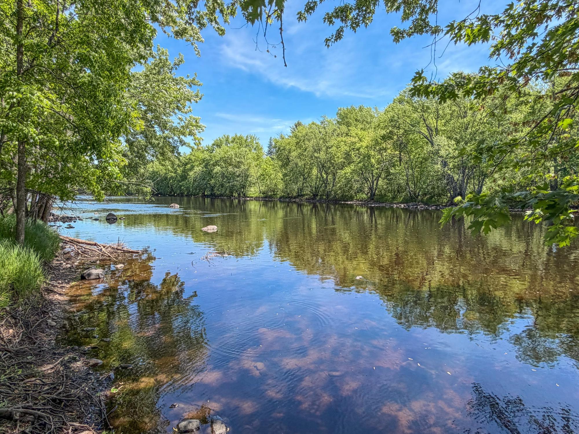 River Property Property N9076 Old Bridge Rd Photo 4