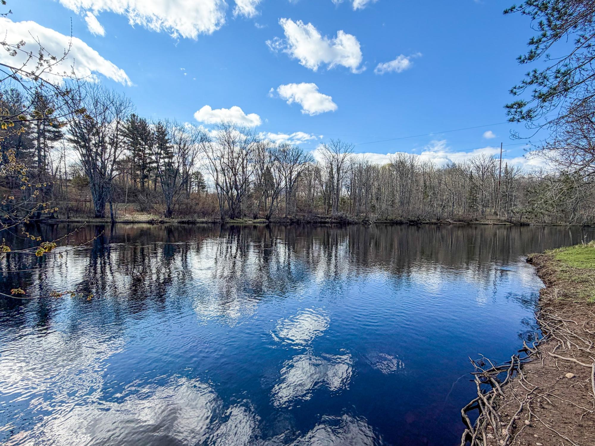 River Property Property N9076 Old Bridge Rd Photo 86
