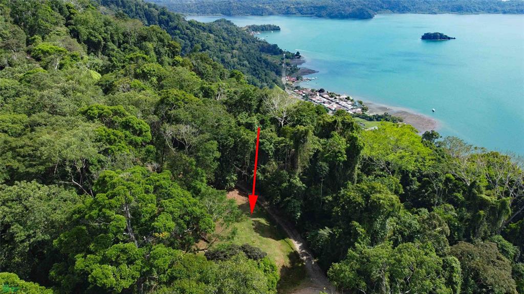  bed Land For Sale in Golfito, Puntarenas - 1