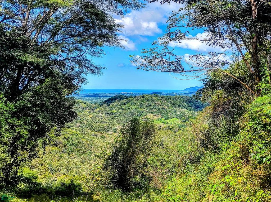  bed Land For Sale in Santa Cruz, Guanacaste - 1