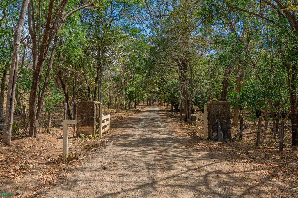  bed Land For Sale in Santa Cruz, Guanacaste - 1