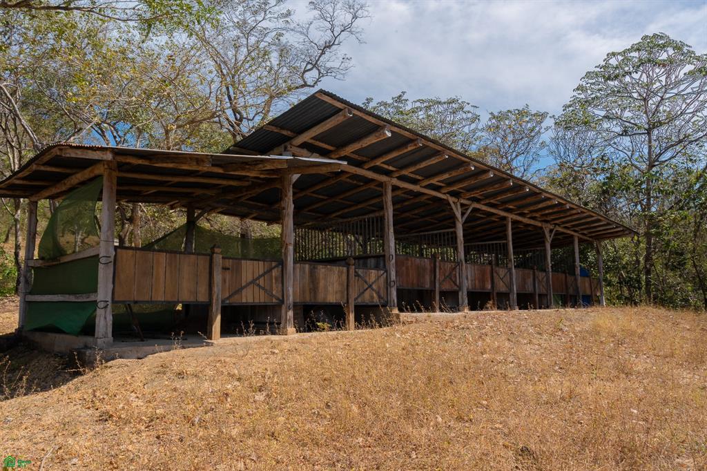  bed Land For Sale in Santa Cruz, Guanacaste - 1
