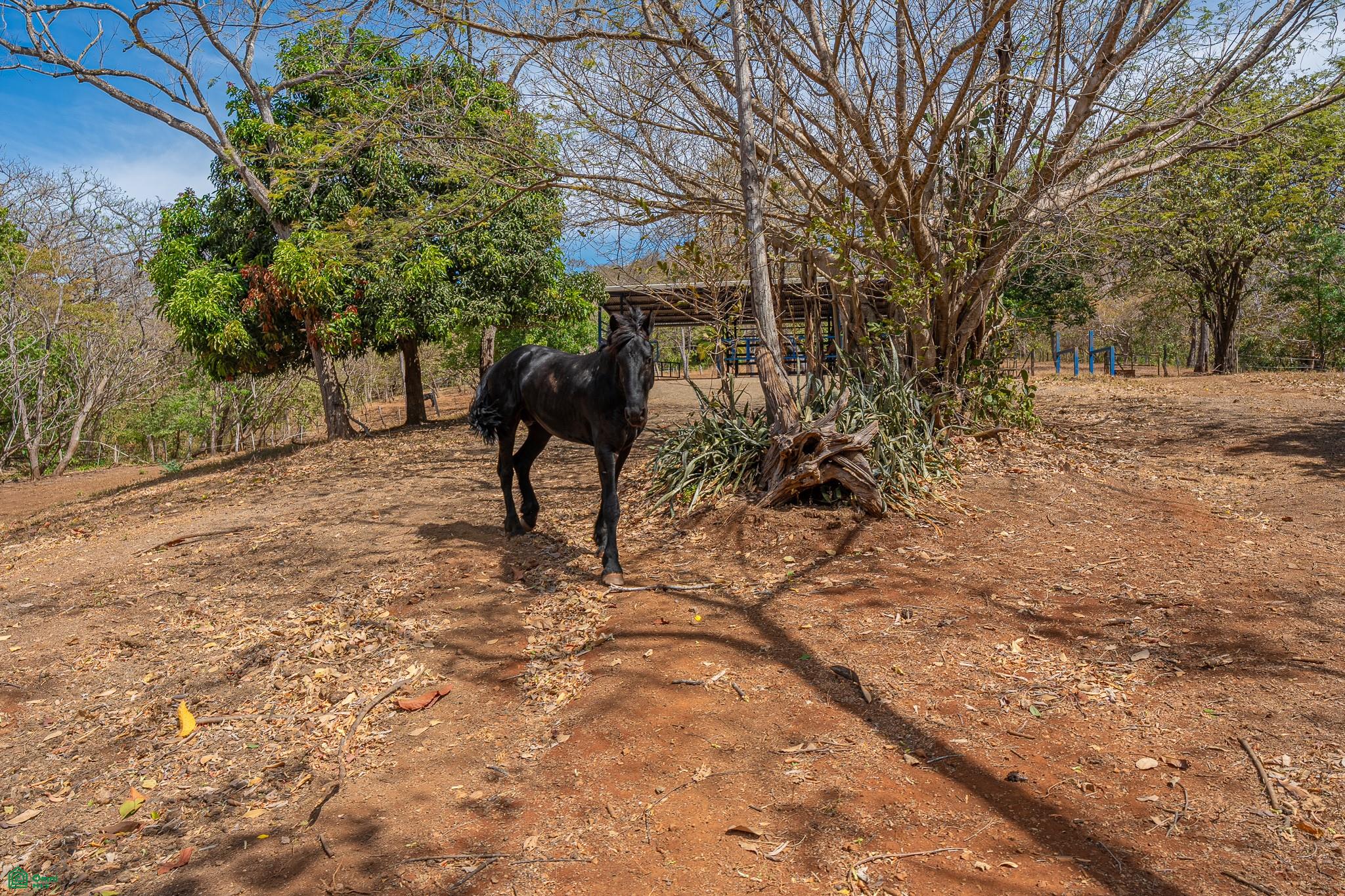  bed Land For Sale in Santa Cruz, Guanacaste - 1