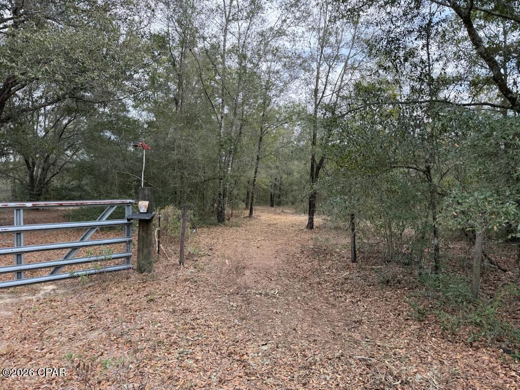 1st image of 00 Pasofino Ln, Alford, FL 32420 | MLS# 786157