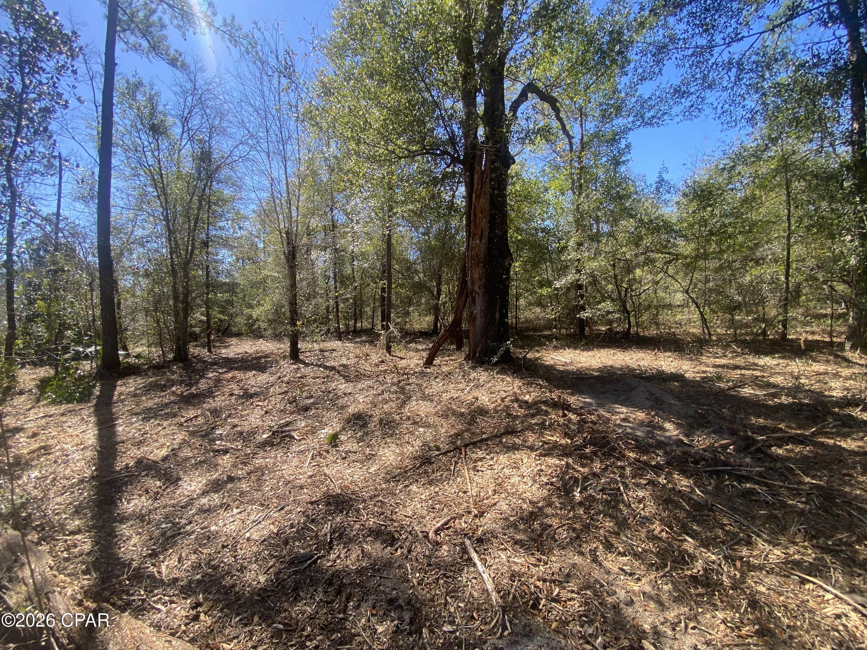 2nd image of 00 Pasofino Ln, Alford, FL 32420 | MLS# 786157