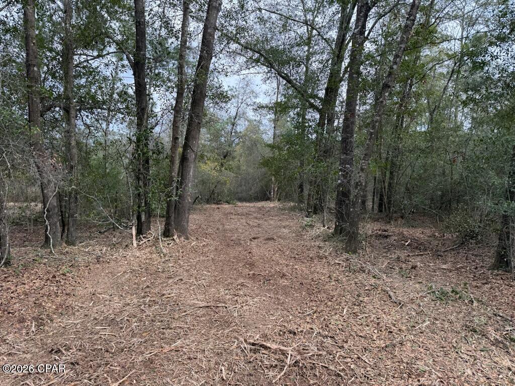 3rd image of 00 Pasofino Ln, Alford, FL 32420 | MLS# 786157