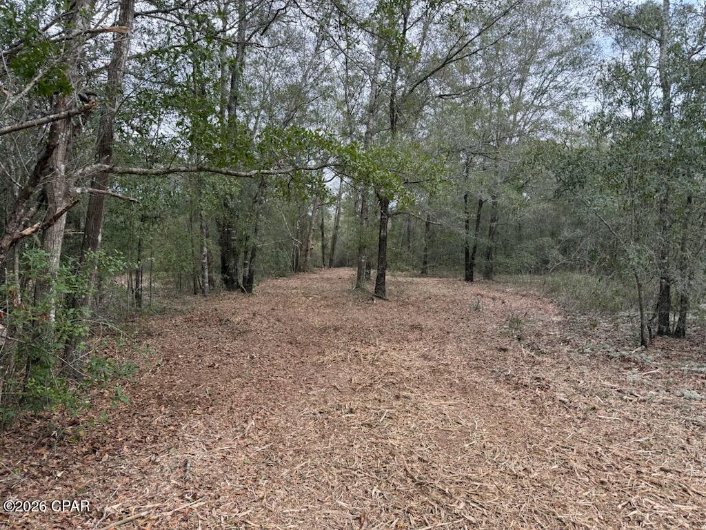 5th image of 00 Pasofino Ln, Alford, FL 32420 | MLS# 786157
