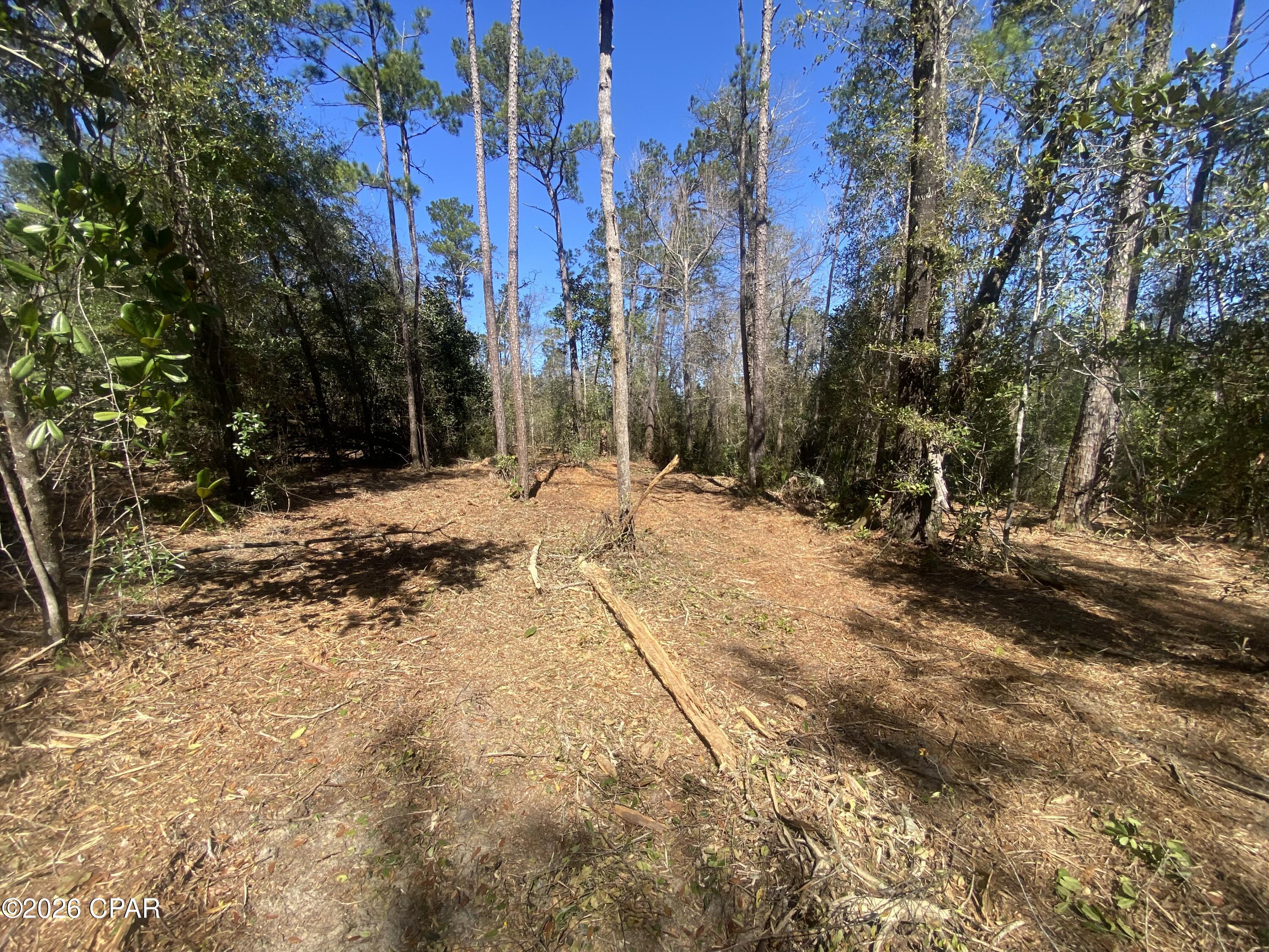 7th image of 00 Pasofino Ln, Alford, FL 32420 | MLS# 786157