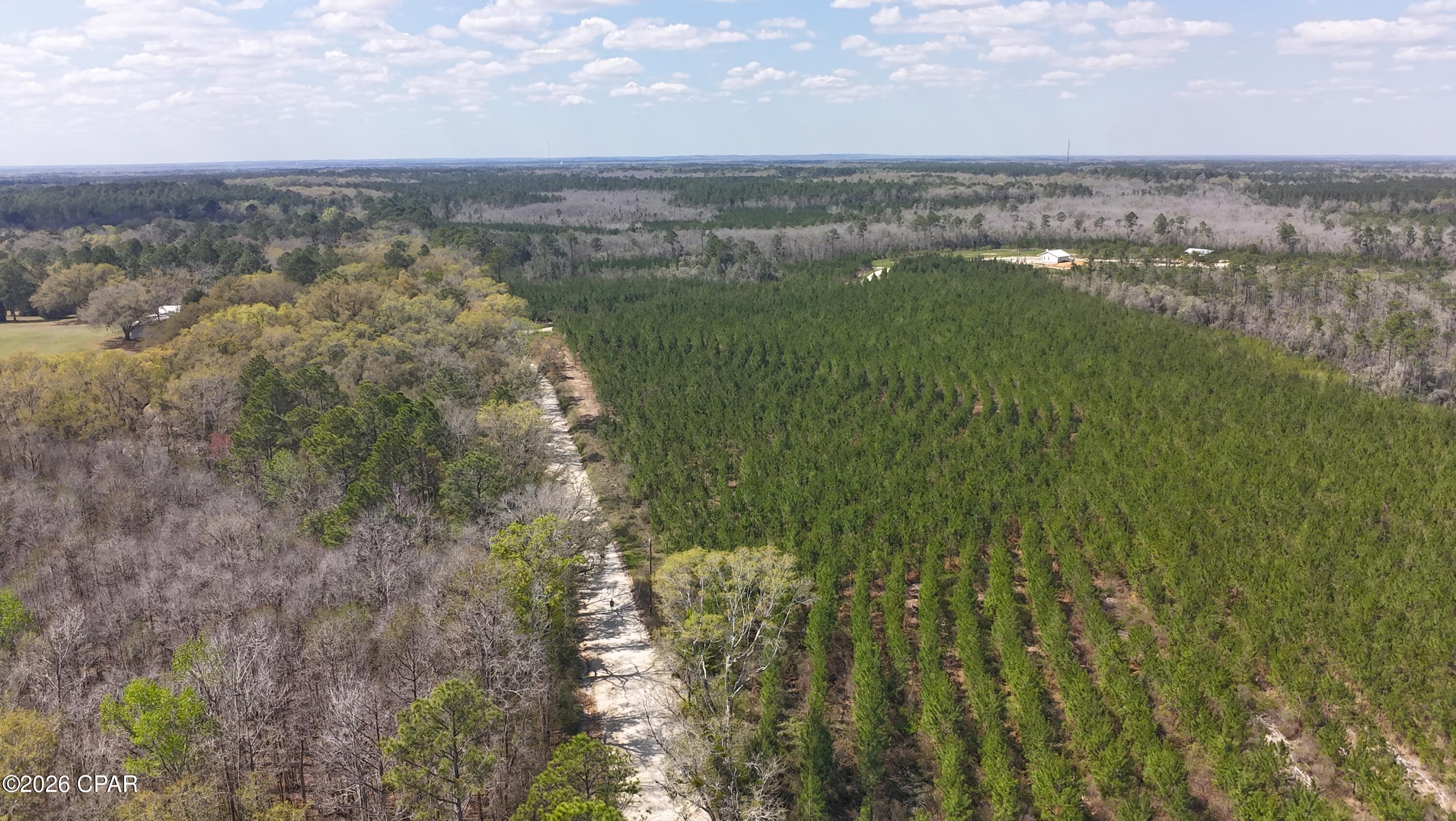 12th image of Tract 6336 Sand Path Rd, Bonifay, FL 32425 | MLS# 786179
