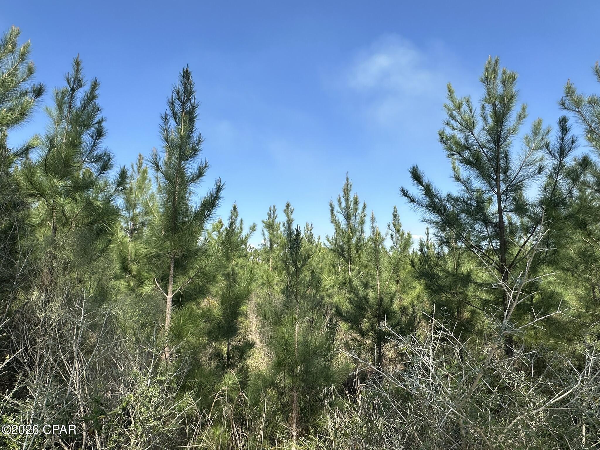 4th image of Tract 6336 Sand Path Rd, Bonifay, FL 32425 | MLS# 786179
