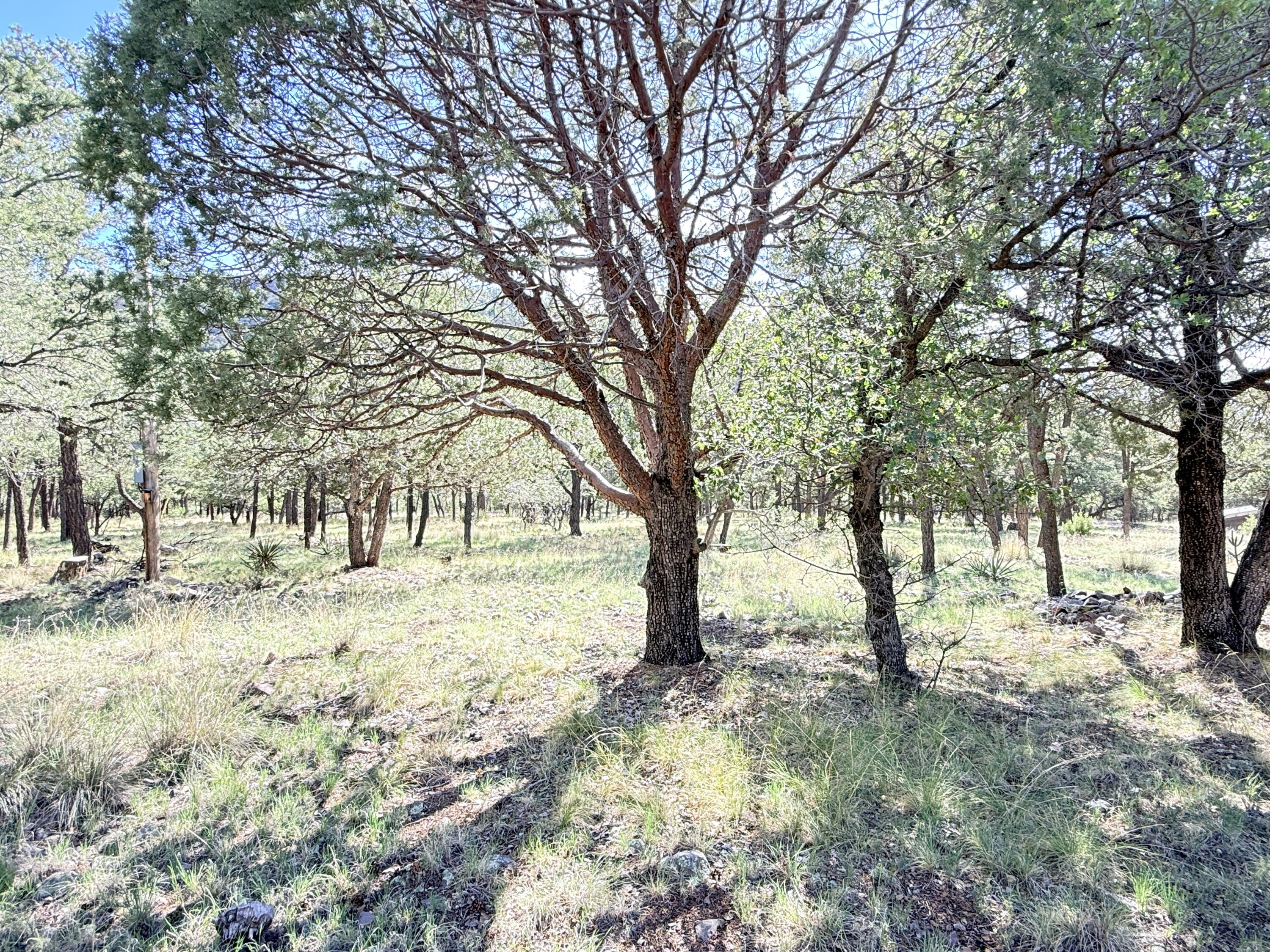 73rd image of 9 Cochise Dr, Magdalena, NM 87825 | MLS# 1099186