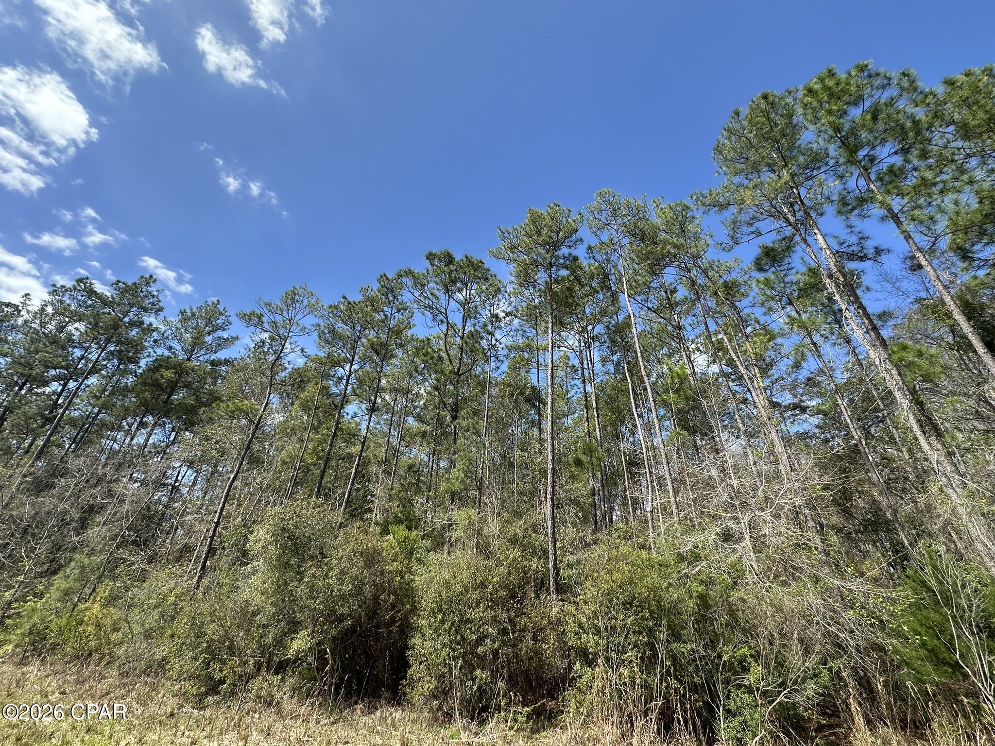 3rd image of Tract#6409 Davis Rd River, Caryville, FL 32427 | MLS# 786193