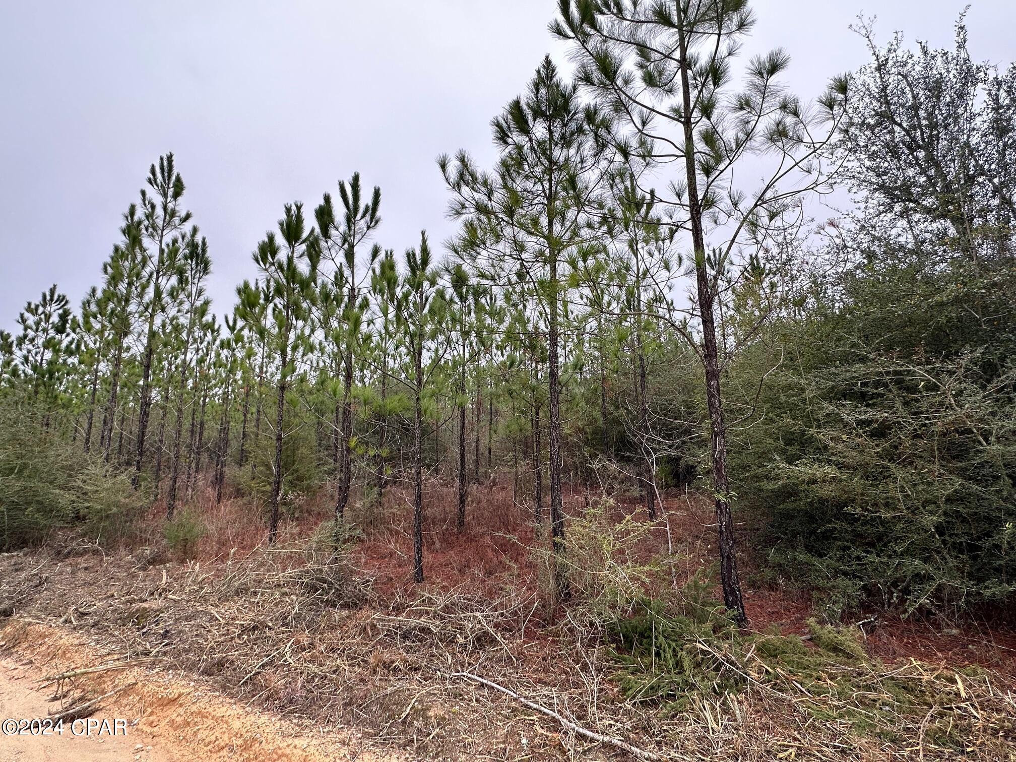 1st image of Tract S 6418 Mattox Springs Rd #4, Caryville, FL 32427 | MLS# 786202