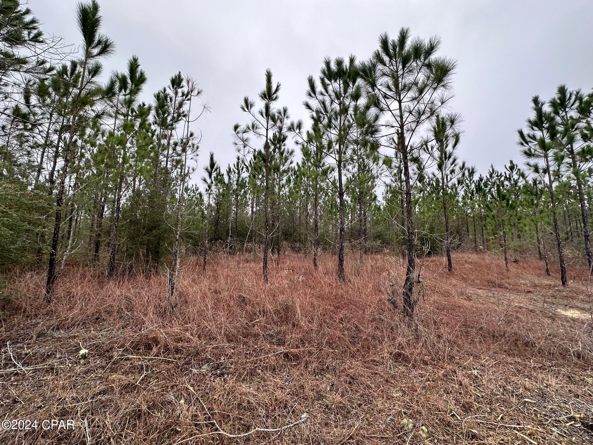 3rd image of Tract S 6418 Mattox Springs Rd #4, Caryville, FL 32427 | MLS# 786202