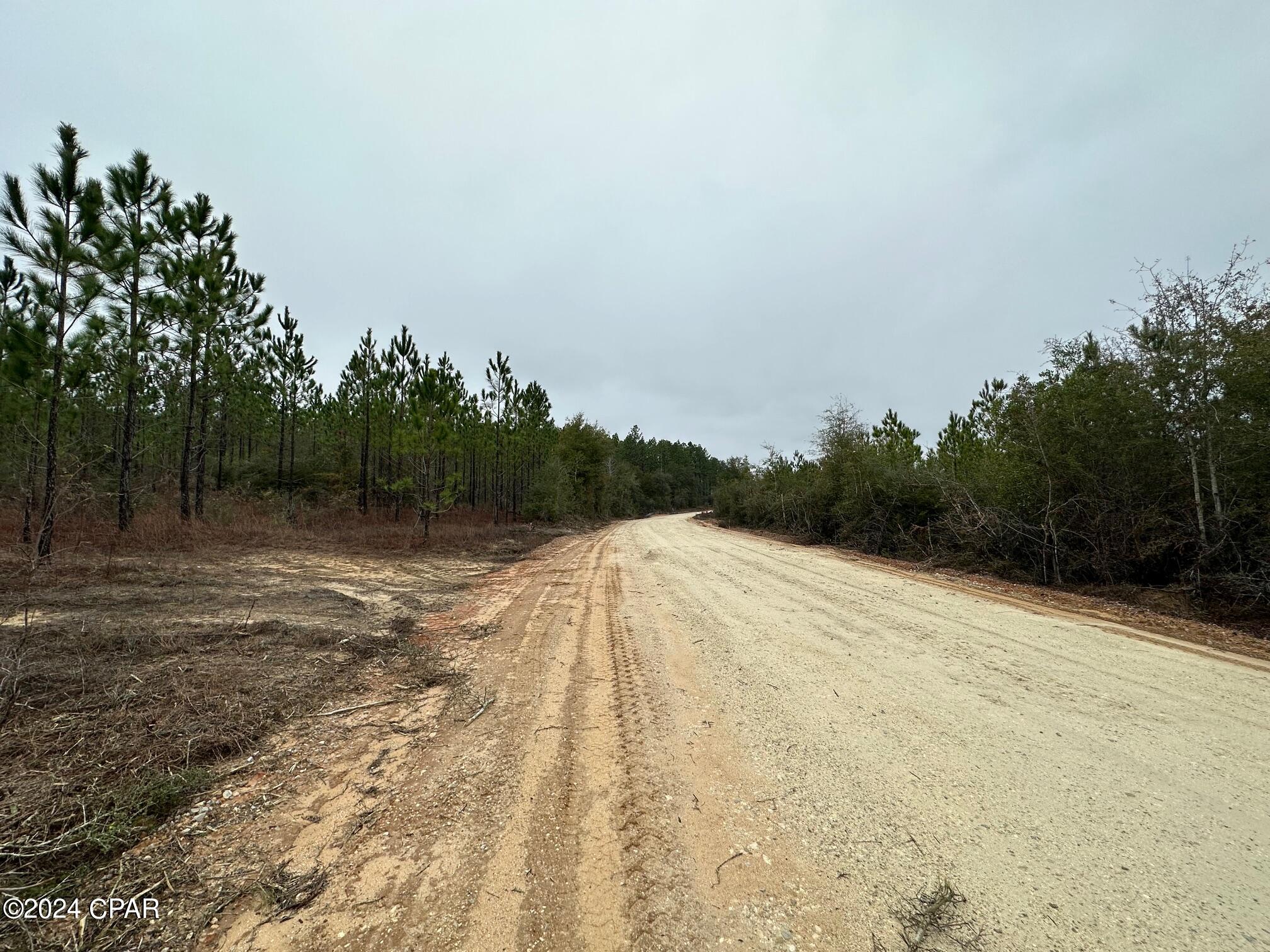 4th image of Tract S 6418 Mattox Springs Rd #4, Caryville, FL 32427 | MLS# 786202