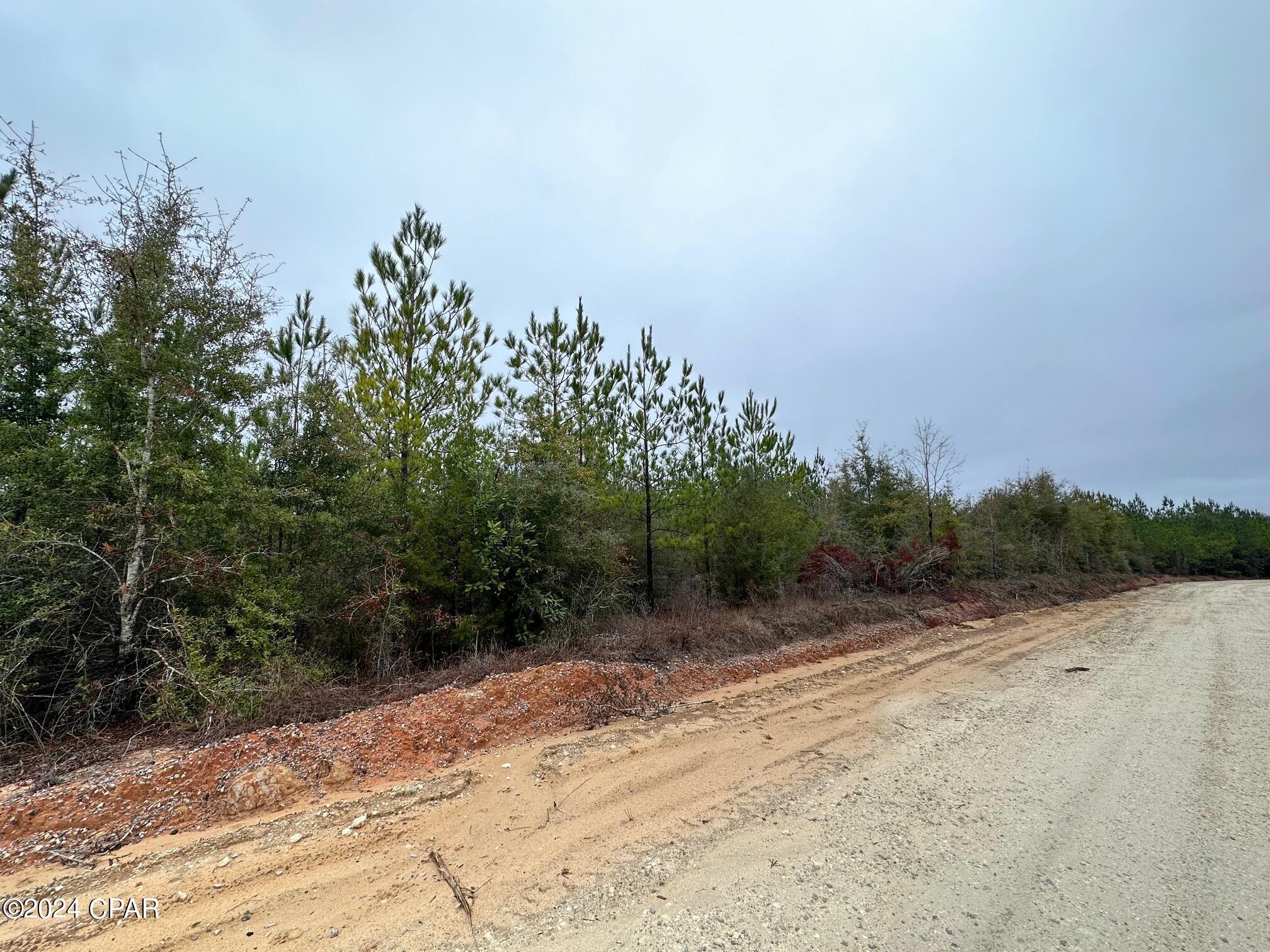 5th image of Tract S 6418 Mattox Springs Rd #4, Caryville, FL 32427 | MLS# 786202