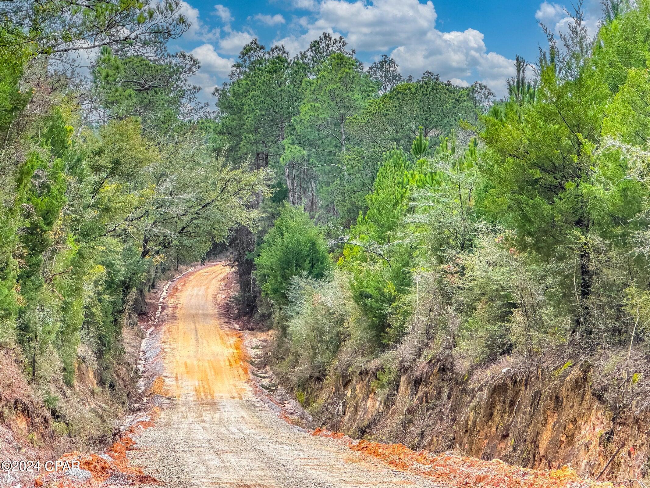 Homes for sale in Caryville, FL | Tract 6418 N Union Hill Rd #Bryant bay, Caryville, FL 32427 | MLS# 786222