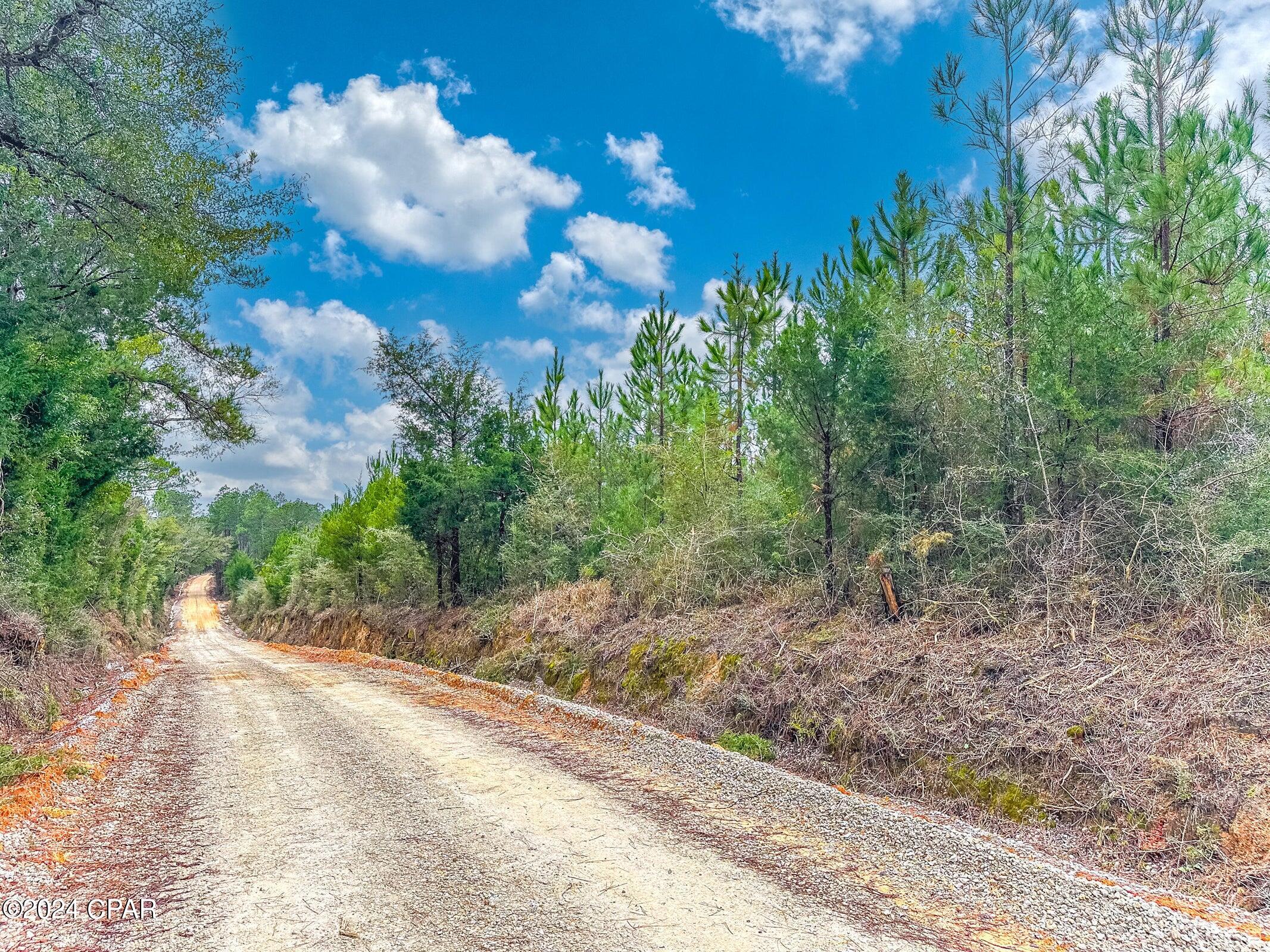 Homes for sale in Caryville, FL | Tract 6418 N Union Hill Rd #Bryant bay, Caryville, FL 32427 | MLS# 786222