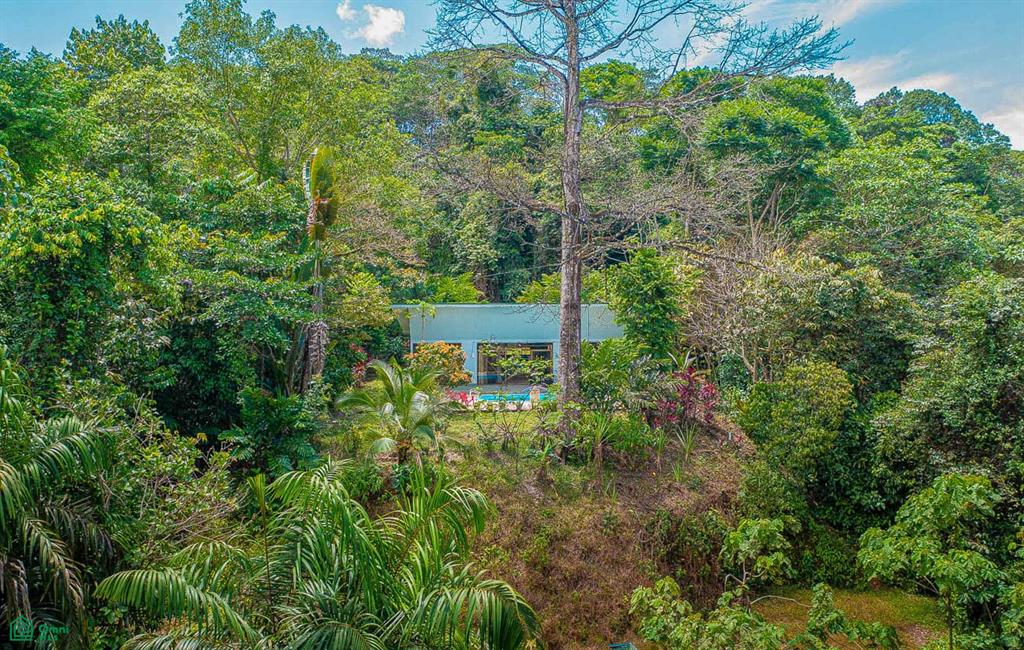 2 bed Single Family Homes For Sale in Osa, Puntarenas - 1