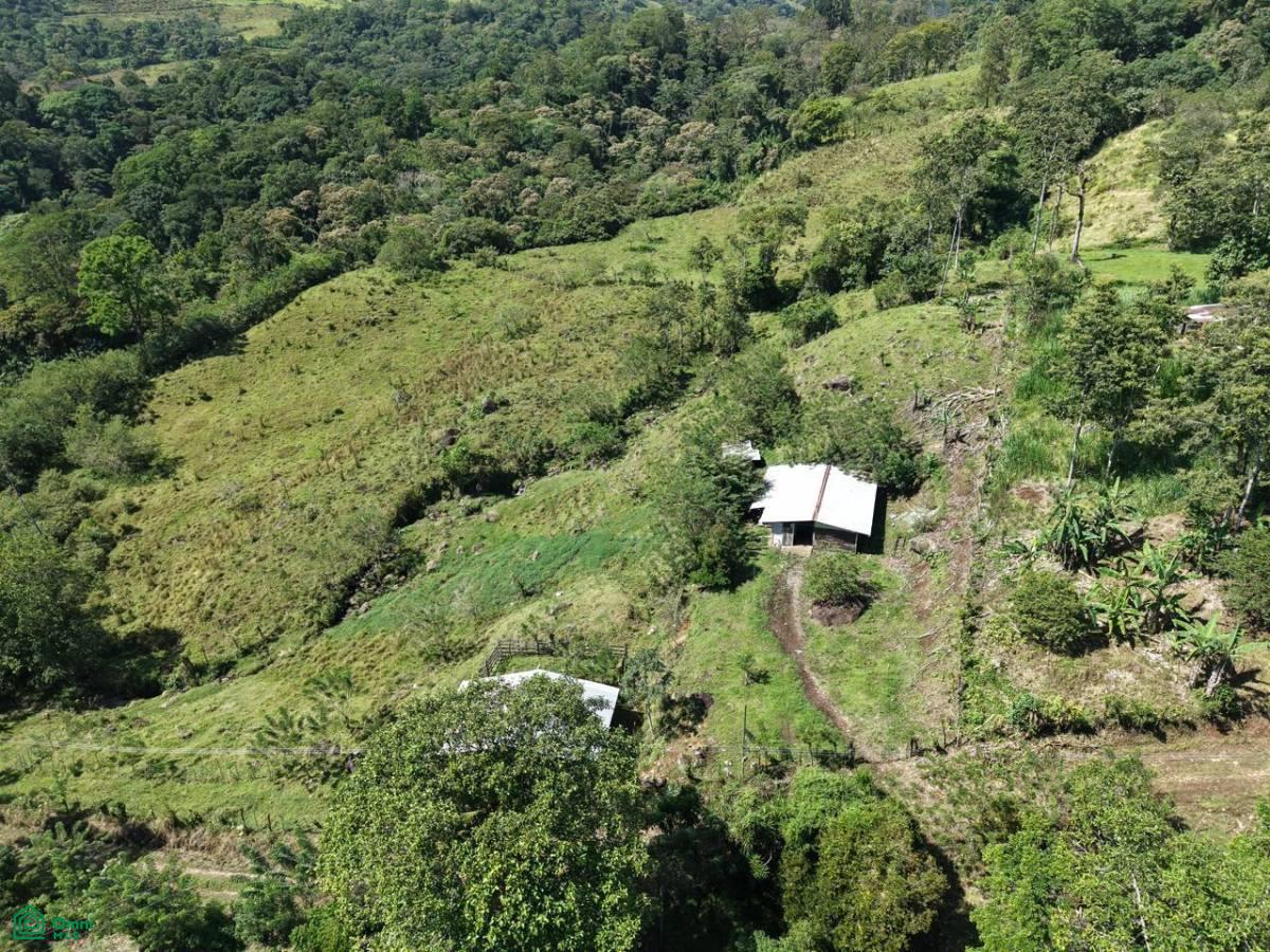 0 bed Land For Sale in Turrialba, Cartago - 1
