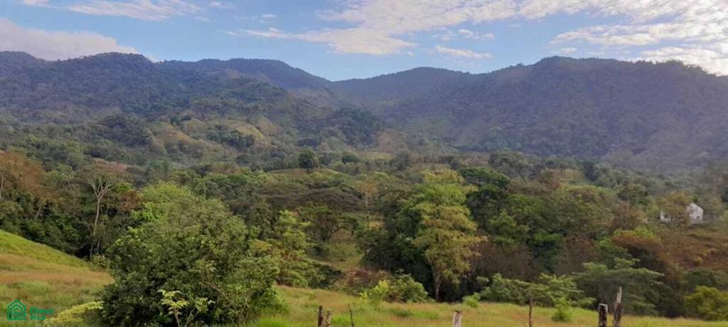 0 bed Land For Sale in Parrita, Puntarenas - 1