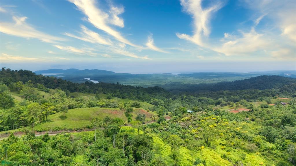  bed Land For Sale in Osa, Puntarenas - 1