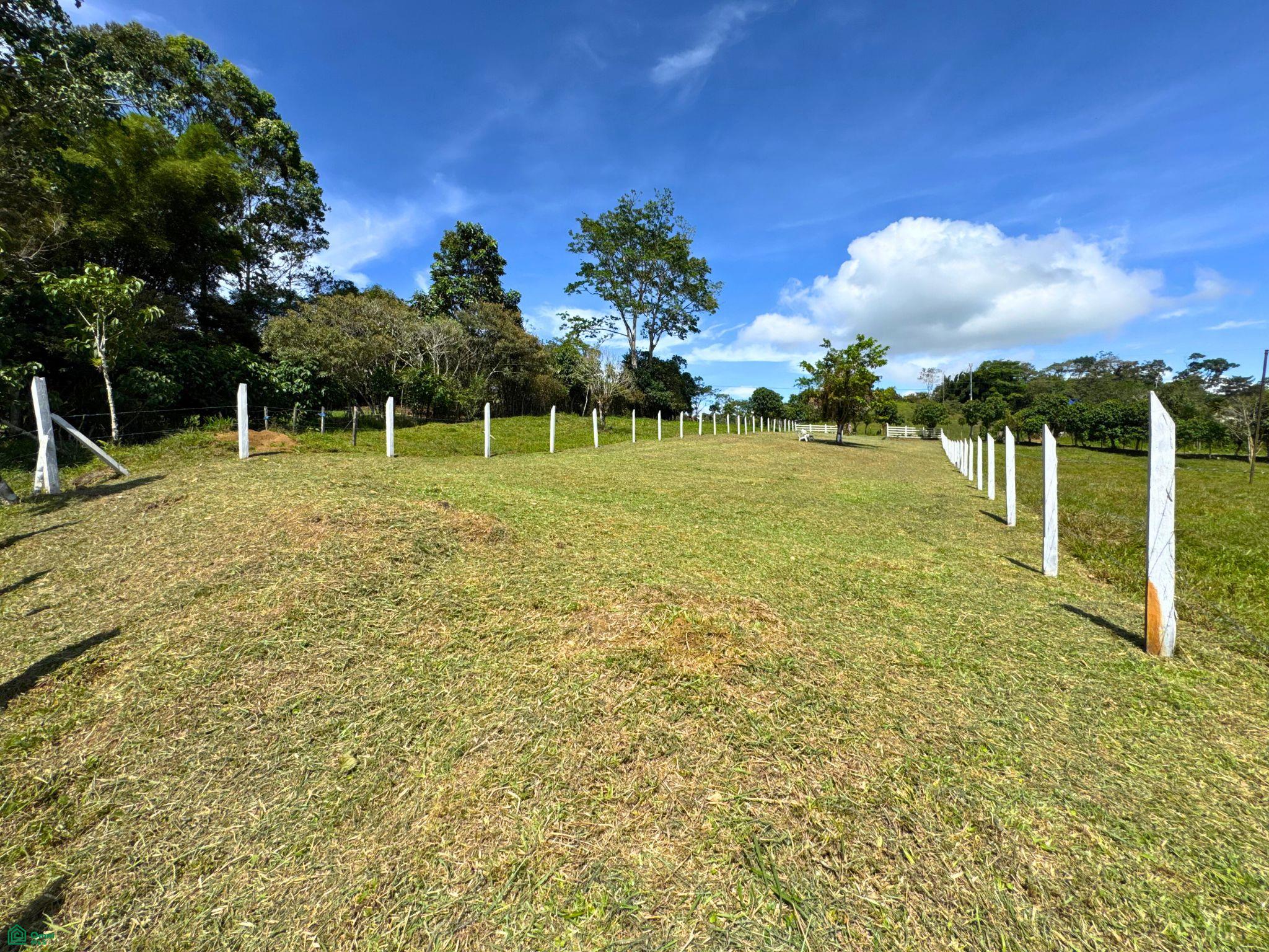  bed Land For Sale in Turrialba, Cartago - 1